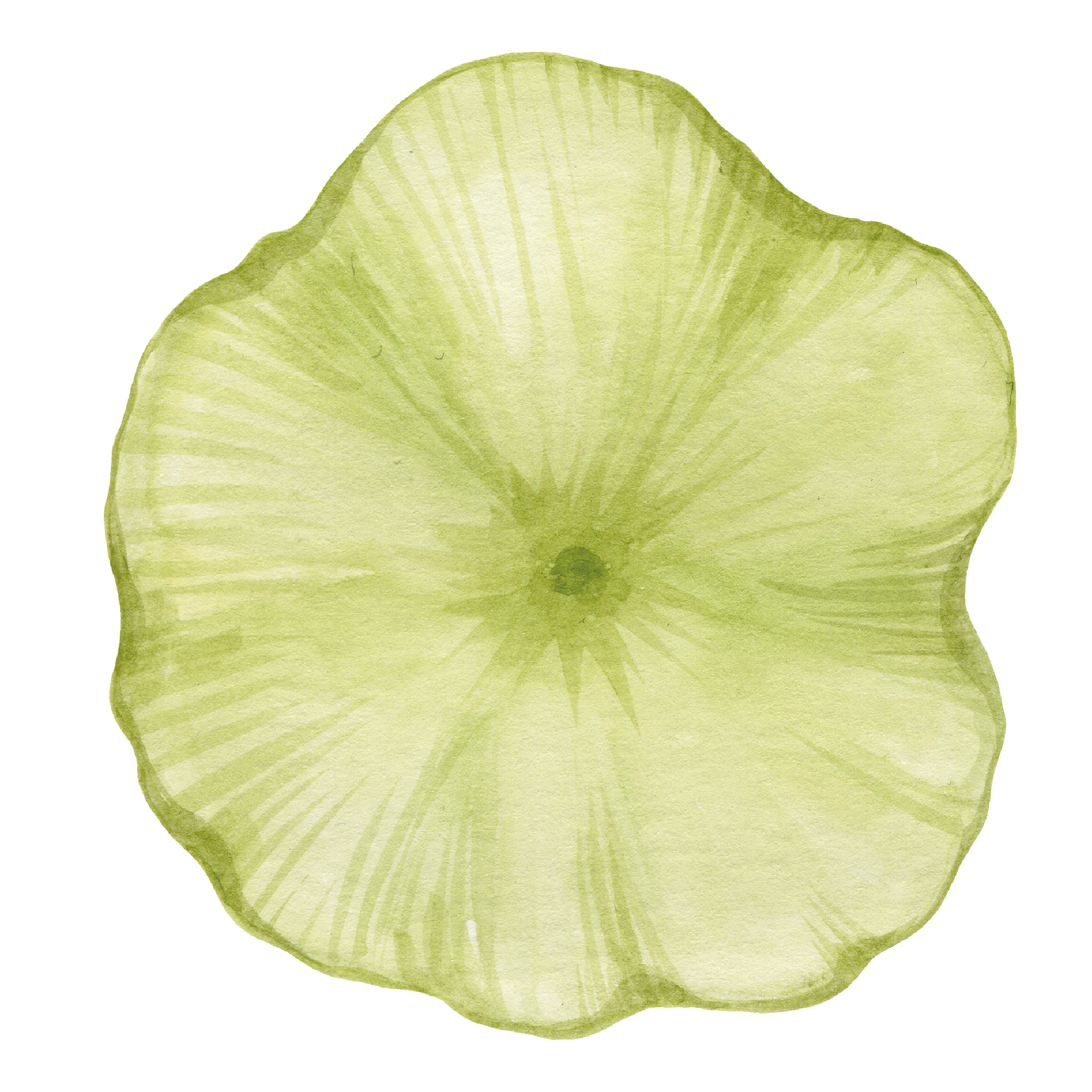 —Pngtree—illustration lotus leaf watercolor hand_3809176